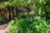 20 Ridge Road, Kallista, Vic 3791-Image