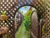 20 Roma Close, Mount Sheridan, Qld 4868-Image