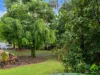 20 Roma Close, Mount Sheridan, Qld 4868-Image