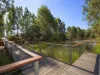 20 Sanderling Crescent, Cranebrook, NSW 2749-Image