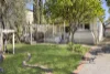 20 Shaftesbury Street, Essendon, Vic 3040-Image