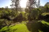 20 Springview Crescent, Maudsland, Qld 4210-Image