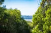 20 Stringybark Place, Millingandi, NSW 2549-Image