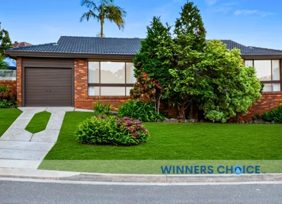 20 Stromlo Place, Ruse, NSW 2560