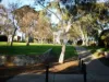 20 Sunnyside Drive, Berwick, Vic 3806-Image