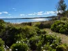 20 Swanwick Drive, Coles Bay, Tas 7215-Image