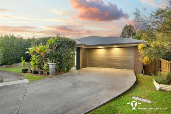 20 Swift Close, Redbank Plains, Qld 4301