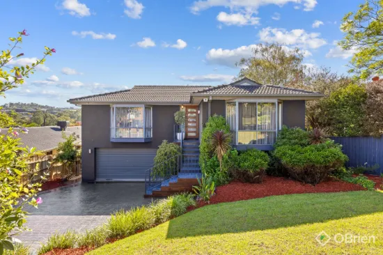 20 Telford Drive, Berwick, Vic 3806
