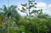 20 The Quarterdeck, Noosa Heads, Qld 4567-Image