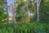 20 Treetop Crescent, Port Macquarie, NSW 2444-Image