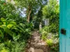 20 Triton Crescent, Port Douglas, Qld 4877-Image