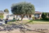 20 Vagnoni Avenue, Paradise, SA 5075