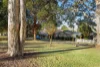 20 Victoria Square, Ashfield, NSW 2131-Image