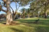 20 Victoria Square, Ashfield, NSW 2131-Image