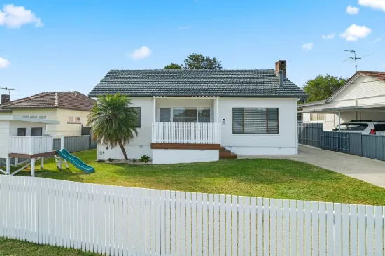 20 Waller Street, Shortland, NSW 2307