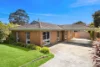 20 Walpole Avenue, Belmont, Vic 3216