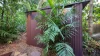 20 Wells Street, Ludmilla, NT 0820-Image