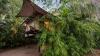 20 Wells Street, Ludmilla, NT 0820-Image