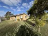 20 White Street, Pittsworth, Qld 4356-Image