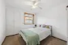 20 Window Road, Willaston, SA 5118-Image