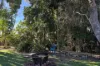 20 Witt Street, Tea Gardens, NSW 2324-Image