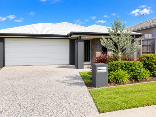 20 Woodline Drive, Spring Mountain, Qld 4300