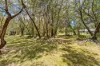 20 Yatama Place, Cooroibah QLD 4565-Image