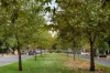201/82 Osmond Terrace, Norwood, SA 5067-Image