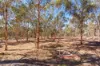 201 Clackline-Toodyay Road, Clackline, WA 6564-Image