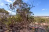 201 Clackline-Toodyay Road, Clackline, WA 6564-Image