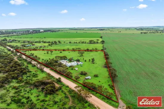 201 Dows Road, Owen, SA 5460