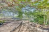 201 Hawes Road, Electra, Qld 4670-Image