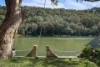 201 Prince Edward Park Road, Woronora, NSW 2232-Image