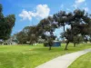 201 Seventh Road, Armadale, WA 6112-Image