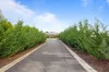 201 Smythes Road, Delacombe, Vic 3356-Image
