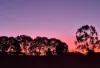 2011 Davys Plains Road, Cargo via, Orange, NSW 2800