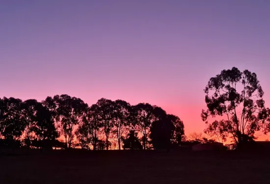 2011 Davys Plains Road, Cargo via, Orange, NSW 2800