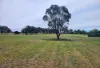 2011 Davys Plains Road, Cargo via, Orange, NSW 2800-Image
