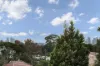 202 Albany Road, Petersham, NSW 2049-Image