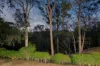 202 Bielby Street, Kenmore Hills, Qld 4069-Image
