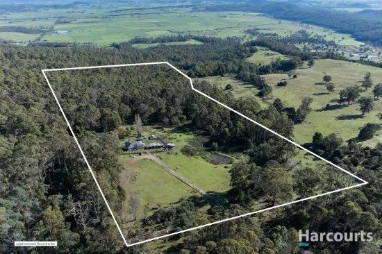 202 Brodies Road, Golden Valley, Tas 7304