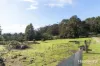 202 Brodies Road, Golden Valley, Tas 7304-Image