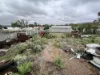202 Carbon Street, Broken Hill NSW 2880-Image