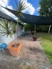 202 Ferry Street, Maryborough, Qld 4650-Image