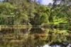 202 Gumboil Road, Tinbeerwah, Qld 4563-Image