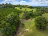 202 Koonorigan Road, Koonorigan, NSW 2480-Image