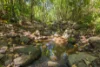202 Koonorigan Road, Koonorigan, NSW 2480-Image