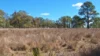 202 Thorndale Road, Broadwater, Qld 4380-Image