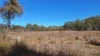 202 Thorndale Road, Broadwater, Qld 4380-Image