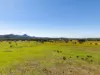 202 Wilsons Creek Road, Wilsons Creek, NSW 2482-Image